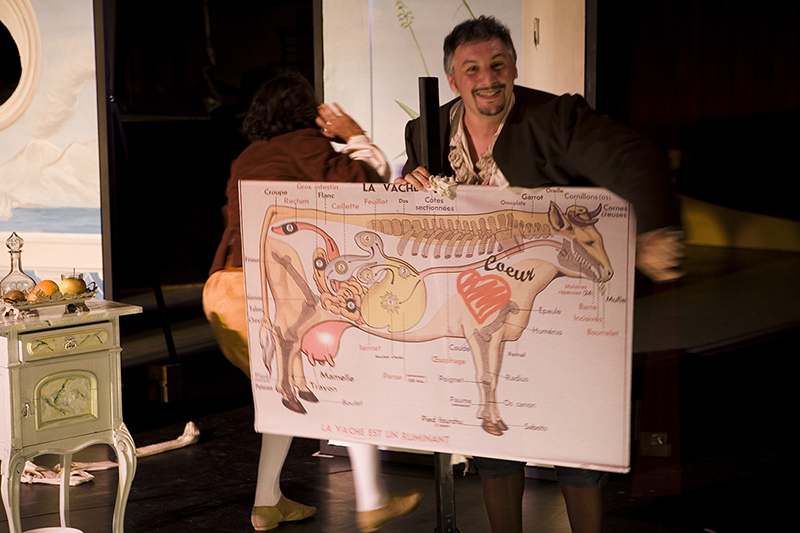 La Vedova Ingegnosa